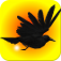 Caw of Doody